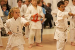 Shotokan Karate Middle Punch Werribee Hoppers Crossing